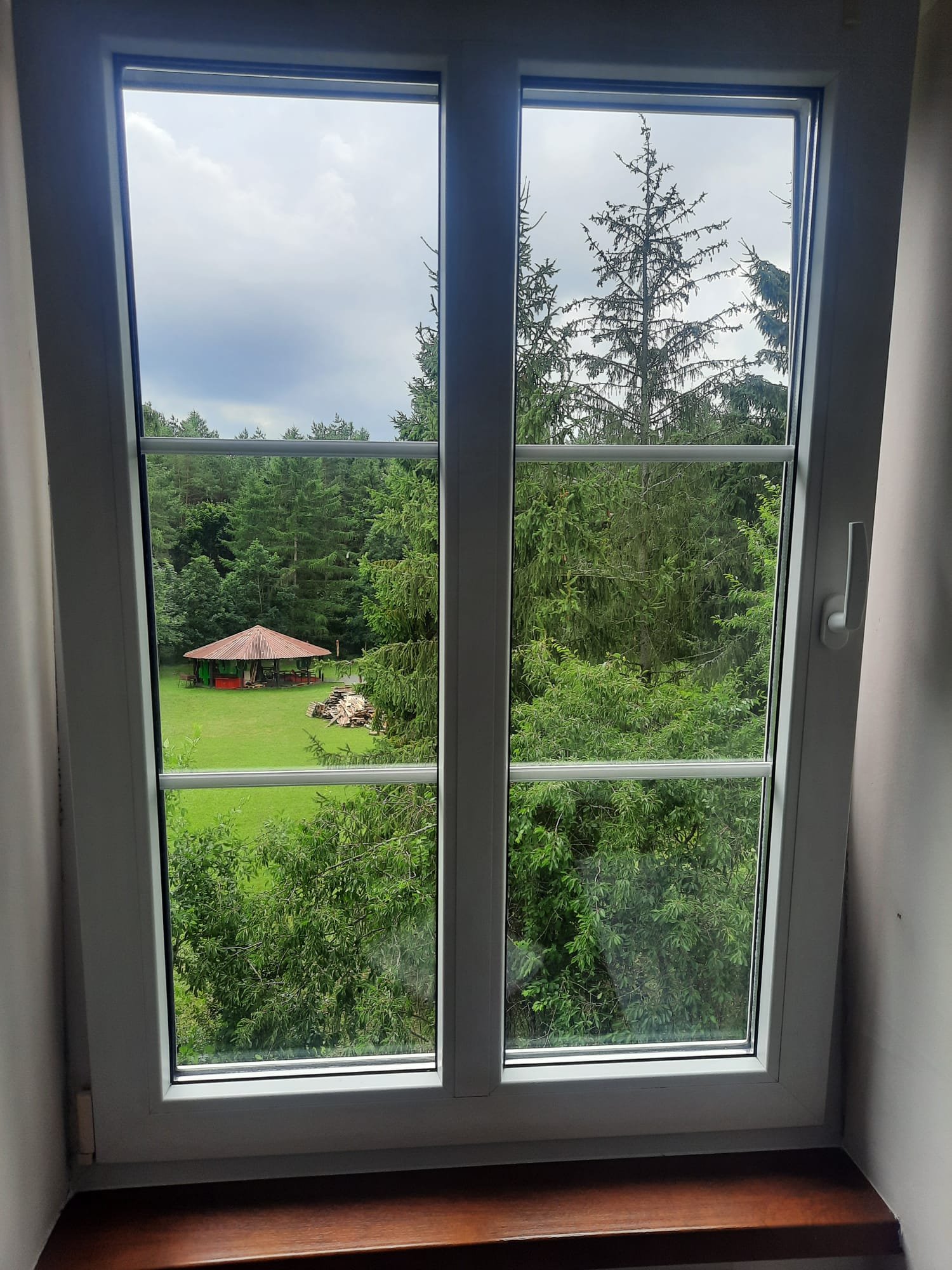 Galeria - Widok z okna na zieleń